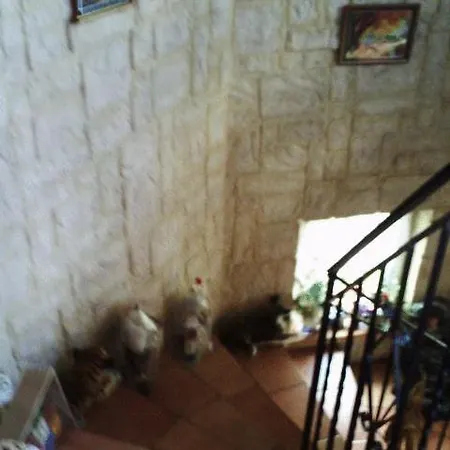 Hotel Chez Josephine Metting