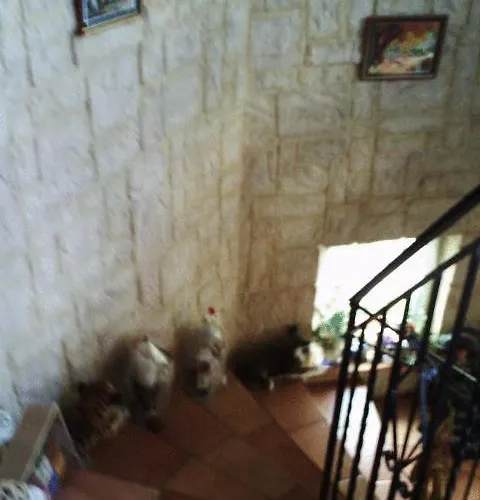 酒店 约瑟芬酒店 Metting