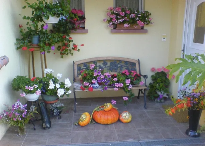 Hotel Chez Josephine Metting