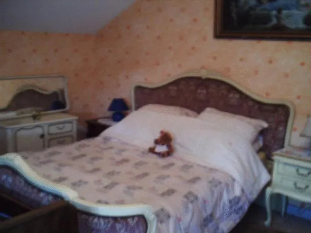 Hotel Chez Josephine *